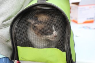 WhatsApp Image 2025-09-25 at 11.05.47 (1).jpeg